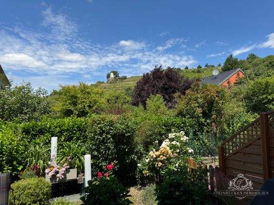 Gartenblick aus dem Wohnzimmer