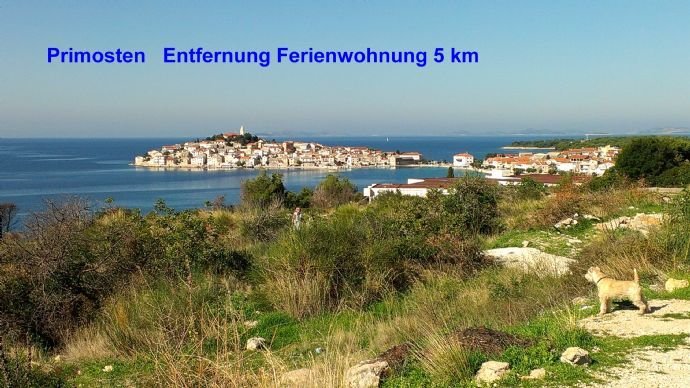 Bild 14