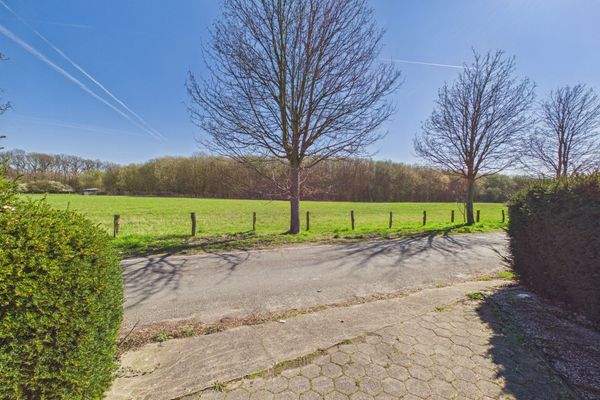 Blick aus der Einfahrt