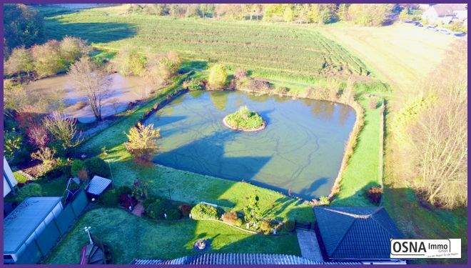 Luftaufnahme Gartenteich