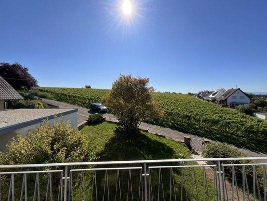 Blick vom Balkon des Bestandshauses über die Reben