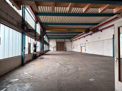 Moosburg Halle, Moosburg Hallenfläche