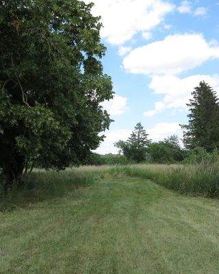 Bäume auf Grundstück (2)