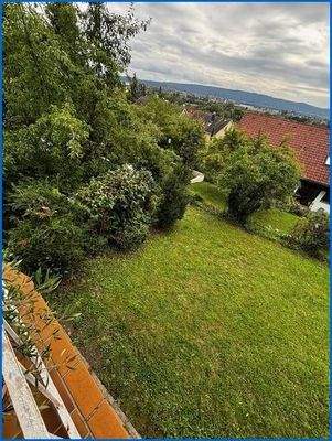 Blick in den Garten_2