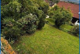 Blick in den Garten_2