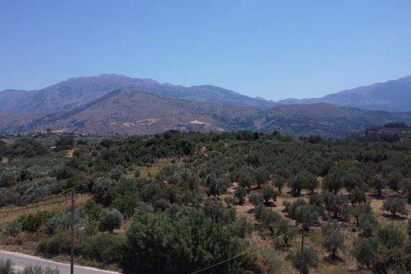 Kreta, Kalamitsi Amigdali: Charmantes kretisches Haus mit privatem Olivenhain und Bergblick zu verkaufen