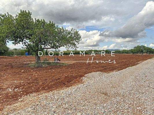 sa-comuna_00006_77f562d