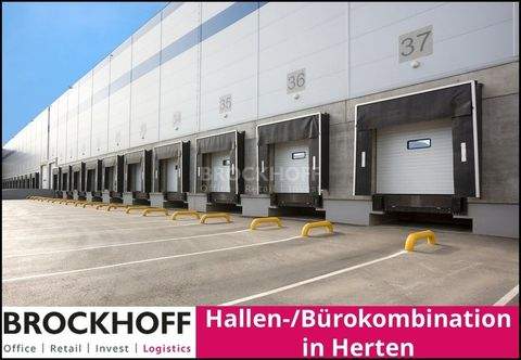 Herten Halle, Herten Hallenfläche