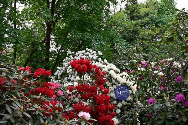 3-Blumenbeetvorschlag.jpg