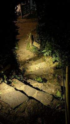 Terrassen-/Gartentreppe