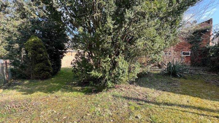 Garten hinter dem Haus