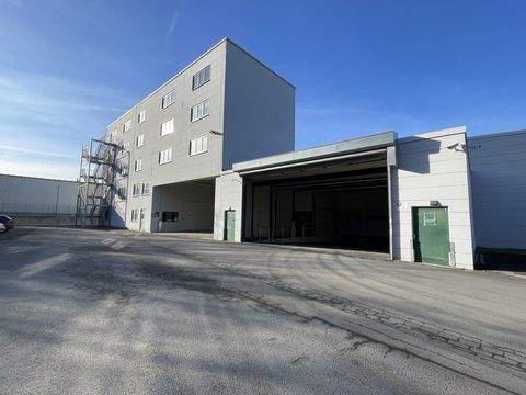 Arnsberg Halle, Arnsberg Hallenfläche