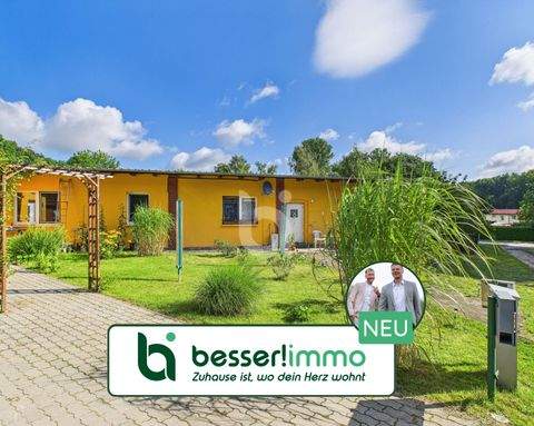 Pritzwalk Renditeobjekte, Mehrfamilienhäuser, Geschäftshäuser, Kapitalanlage