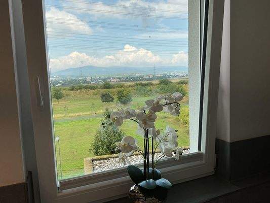 Schlafzimmer mit Taunusblick