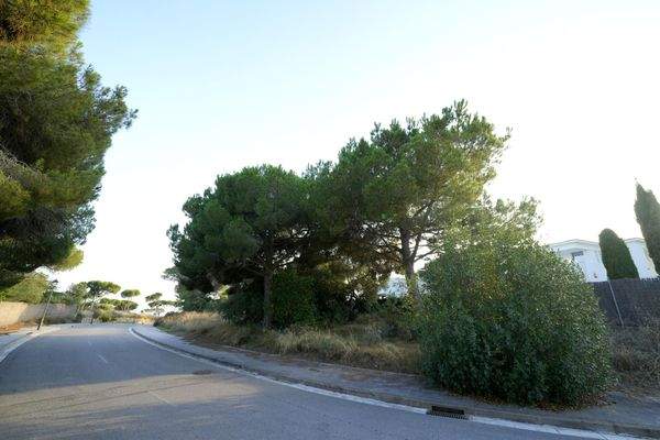 terreny llavaneres (1)