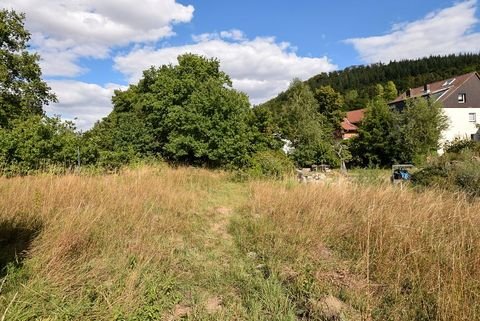 Langelsheim-Wolfshagen Grundstücke, Langelsheim-Wolfshagen Grundstück kaufen