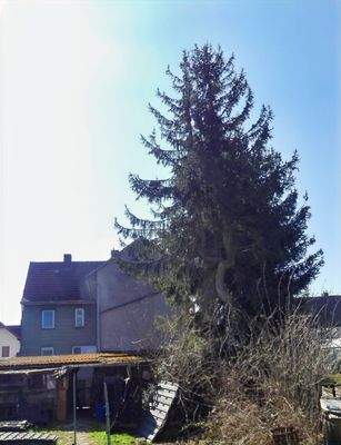 Ansicht Rückseite vom Garten gesehen