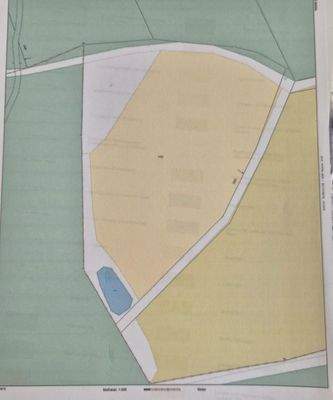 WhatsApp Image 2026-03-17 at 10.33.38.jpeg