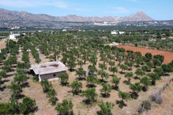 Kreta, Mouzouras: Flaches Grundstück mit Panoramablick zu verkaufen