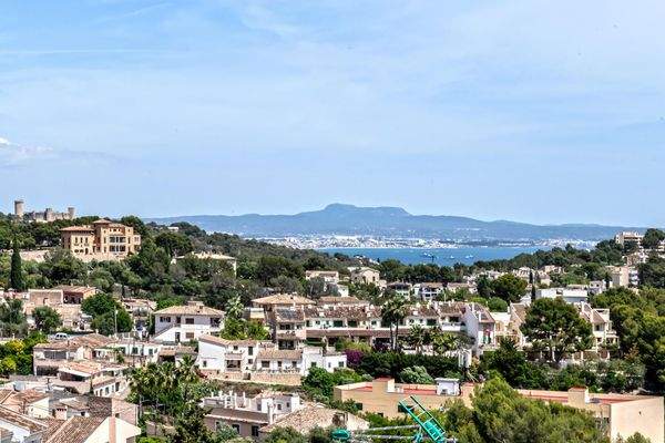 0fe5d858-321b-4e01-b478-dde797620036