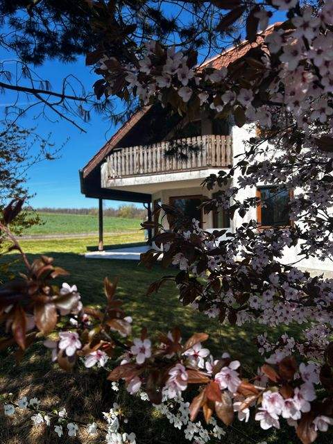 Idesheim Häuser, Idesheim Haus kaufen