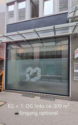 [A] EG + 1. OG. links (opt. Eingang) ca. 300m².jpg