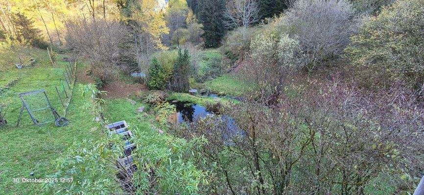 Garten mit großem Teich