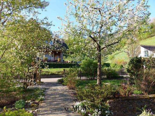 Original Frühling 2025