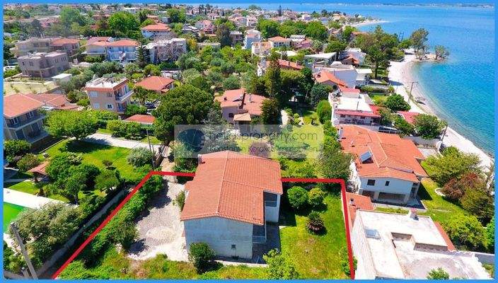 448fb315a56c48c28d51ac02e524d978-original