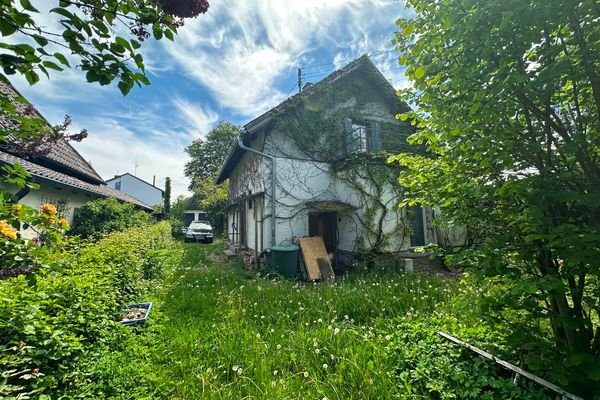 Blick auf den Altbestand