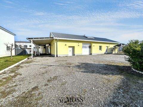 Vogtsburg im Kaiserstuhl Halle, Vogtsburg im Kaiserstuhl Hallenfläche