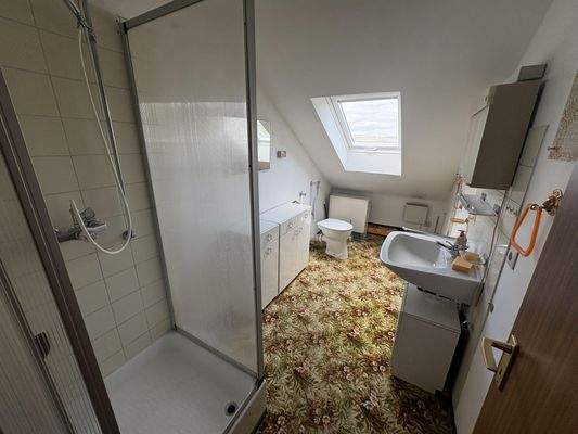 DG: Tageslichtbad mit Dusche