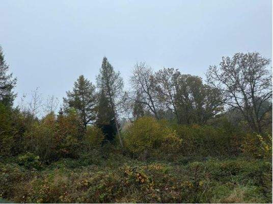 Fl.Nr. 3578, Gem. Rieneck