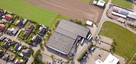 Wittingen Halle, Wittingen Hallenfläche