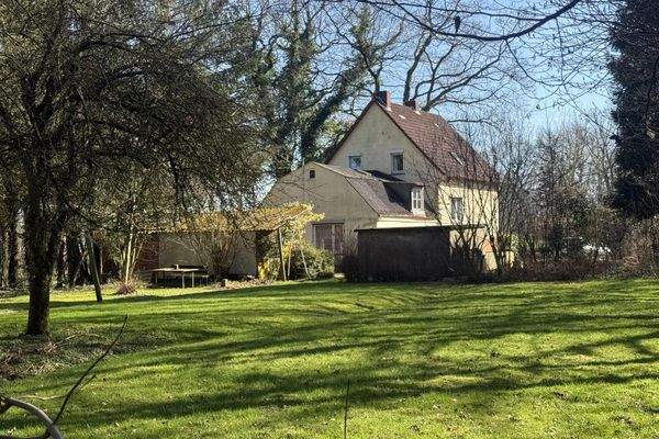 Blick aus dem Garten