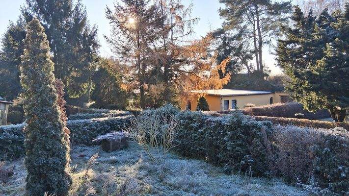 Blick von der Terrasse.jpg