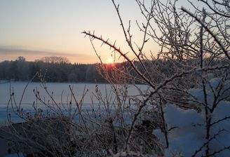 Ausblick von der Terrasse Ihres eigenen Hauses 