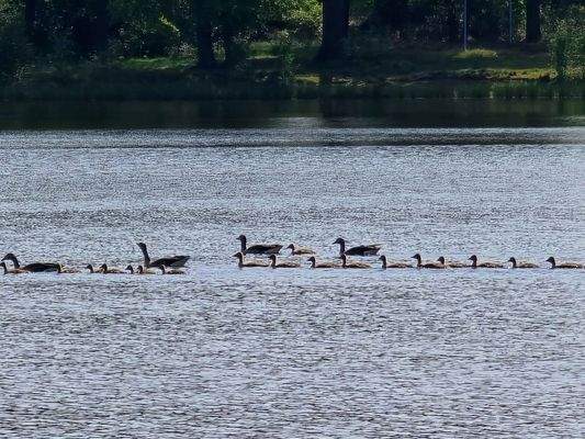 PHOTO-2025-05-05-12-05-06 (1)