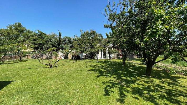 349037978_624730719710382_7985222454340681025_n.jp