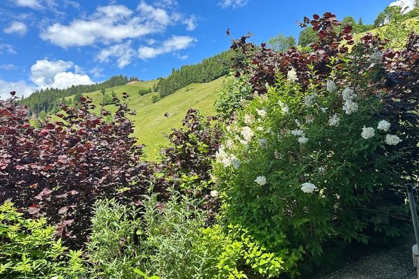 ... umgeben von wunderschöner Natur