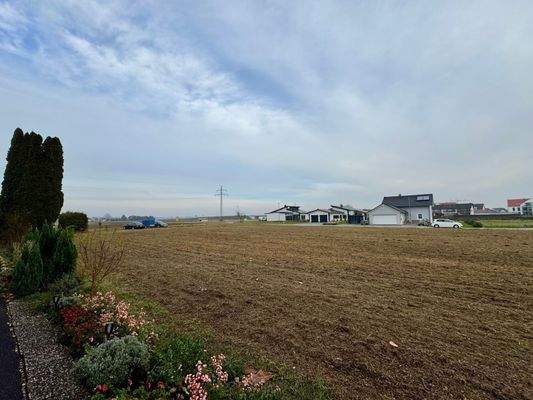 Feld hinter dem Haus