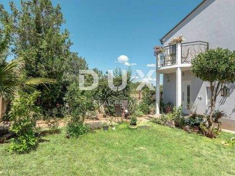 Center Häuser, Center Haus kaufen