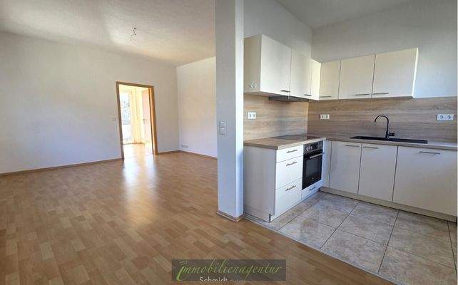 Küche mit Wohnbereich