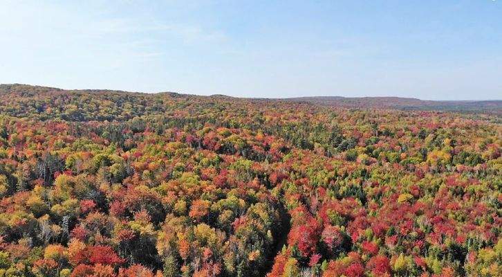 Nova Scotia - West Side Country Harbour - 52-Hekta