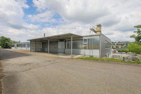 Rückansicht Zugang OG