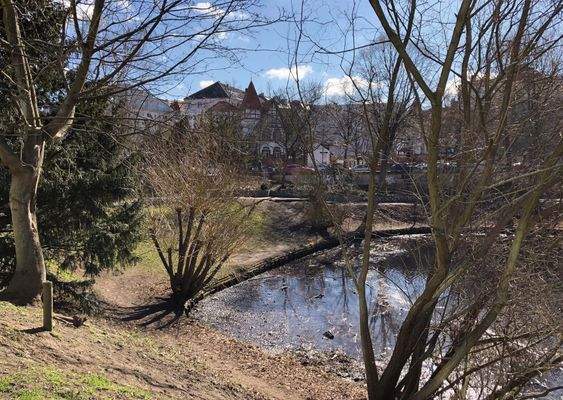 Umgebung Feensee.jpg