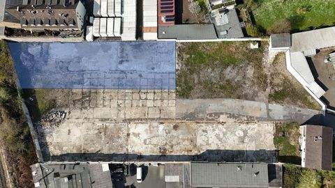 Düsseldorf Halle, Düsseldorf Hallenfläche