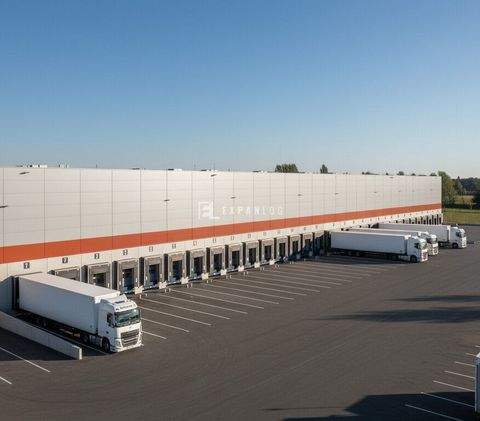 Solingen Halle, Solingen Hallenfläche