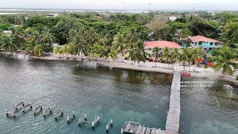 Placencia Ladenlokale, Ladenflächen 