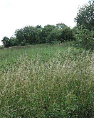 Waldteil (v. links gesehen ;-)